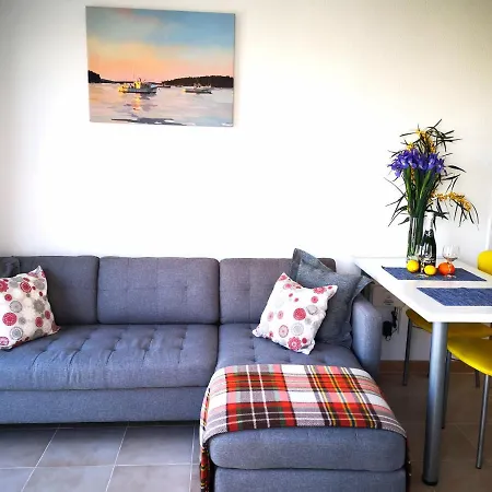 Apartment Sunny With 2 Terraces Torrevieja